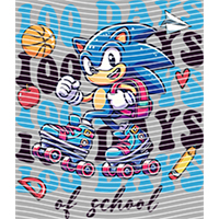 One hundred days-YD 492